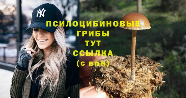 кокс Абаза