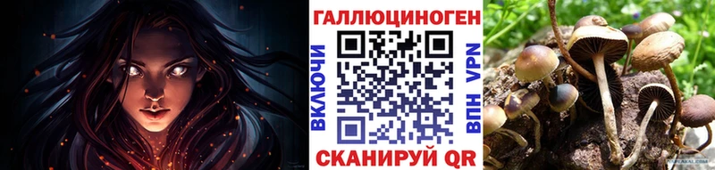 сайты даркнета телеграм  гидра онион  Правдинск  Псилоцибиновые грибы MAGIC MUSHROOMS 