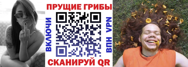 Псилоцибиновые грибы Psilocybe Правдинск